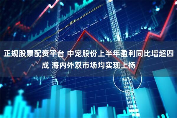正规股票配资平台 中宠股份上半年盈利同比增超四成 海内外双市场均实现上扬