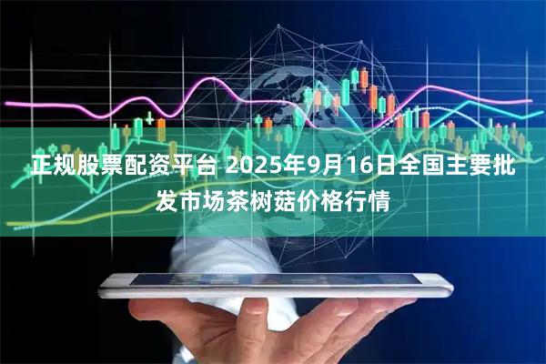 正规股票配资平台 2025年9月16日全国主要批发市场茶树菇价格行情