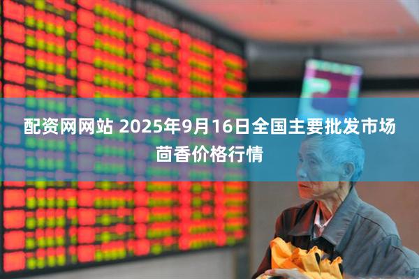 配资网网站 2025年9月16日全国主要批发市场茴香价格行情