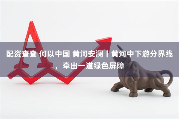 配资查查 何以中国 黄河安澜丨黄河中下游分界线，牵出一道绿色屏障