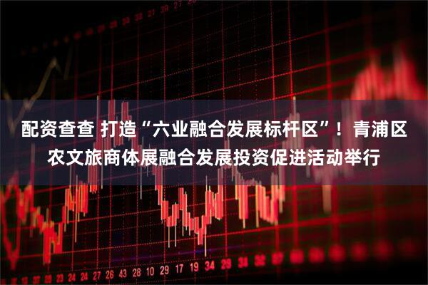 配资查查 打造“六业融合发展标杆区”！青浦区农文旅商体展融合发展投资促进活动举行