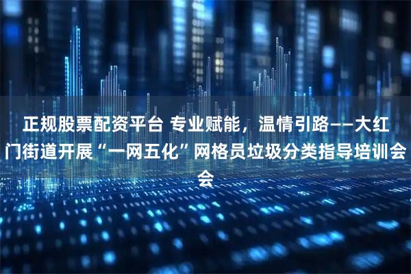 正规股票配资平台 专业赋能，温情引路——大红门街道开展“一网五化”网格员垃圾分类指导培训会