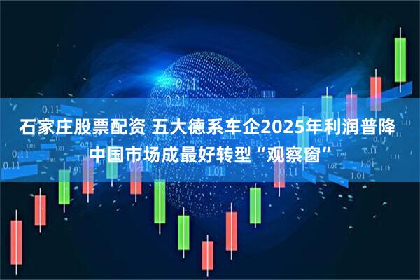石家庄股票配资 五大德系车企2025年利润普降 中国市场成最好转型“观察窗”
