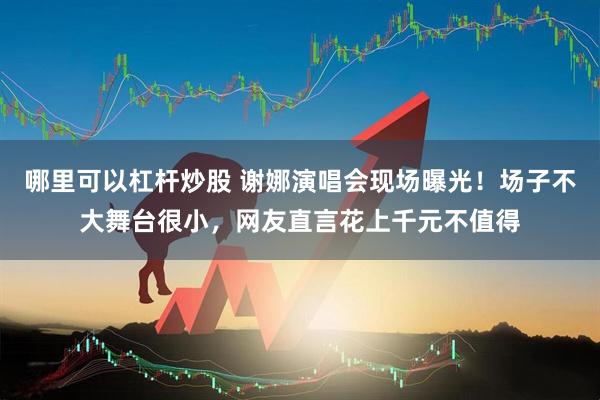 哪里可以杠杆炒股 谢娜演唱会现场曝光！场子不大舞台很小，网友直言花上千元不值得